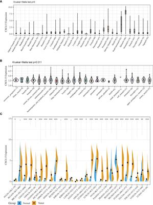 An Integrated Pan-Cancer Analysis of 33 Human Cancers Reveals the Potential Clinical Implications and Immunotherapeutic Value of C-X-C Motif Chemokine Ligand 13